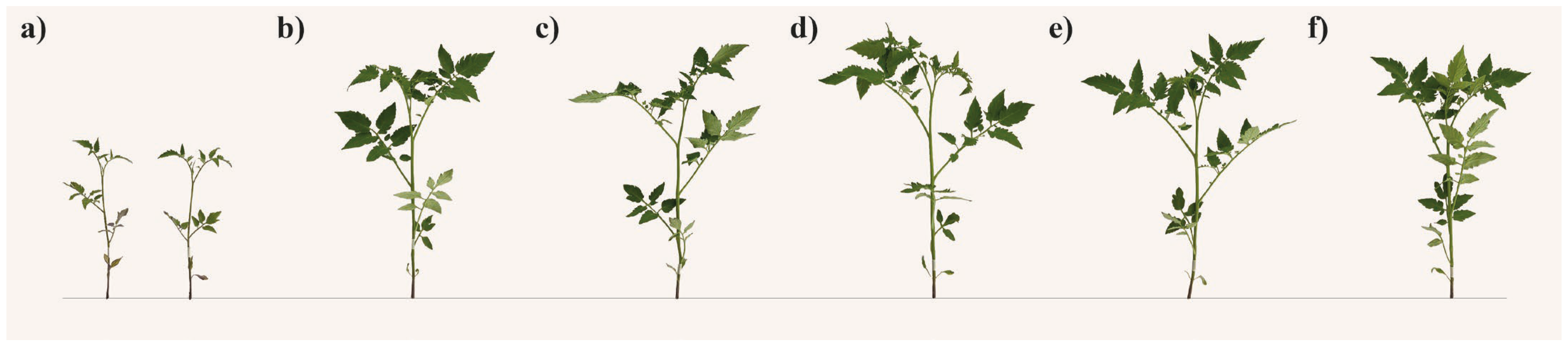 Horticulturae 12 00361 g003 Horticulturae 12 00361 g003