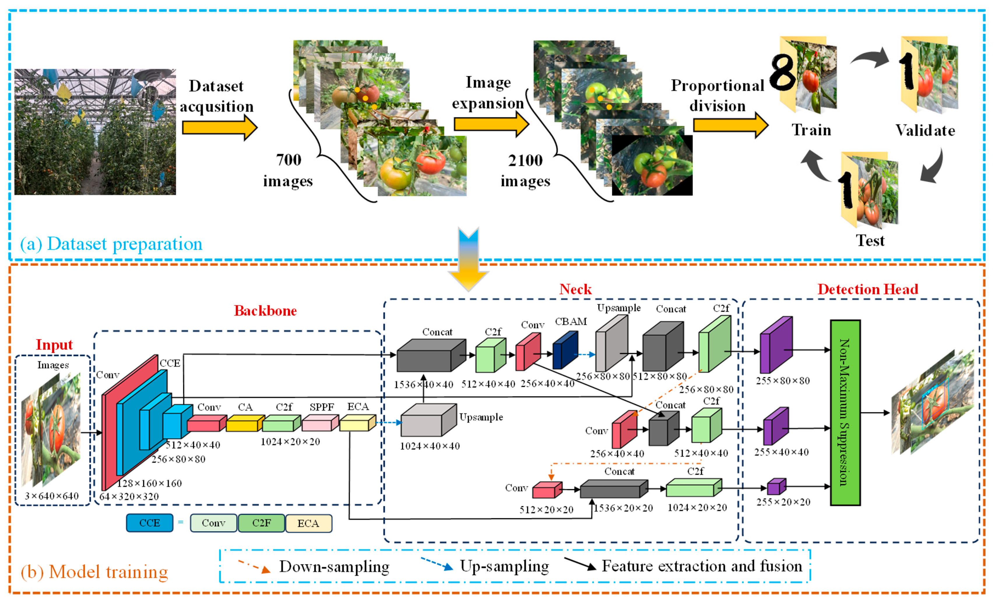 Horticulturae 12 00369 g004