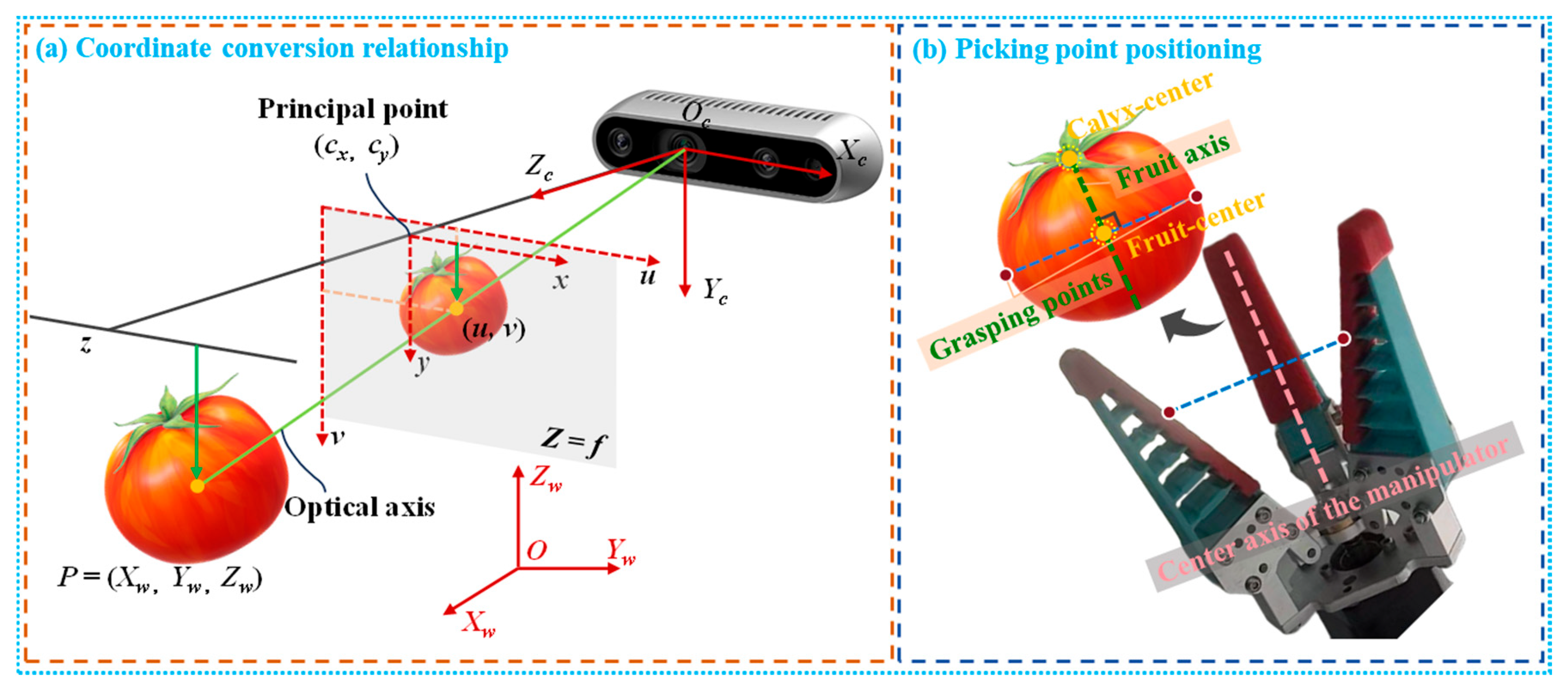 Horticulturae 12 00369 g008