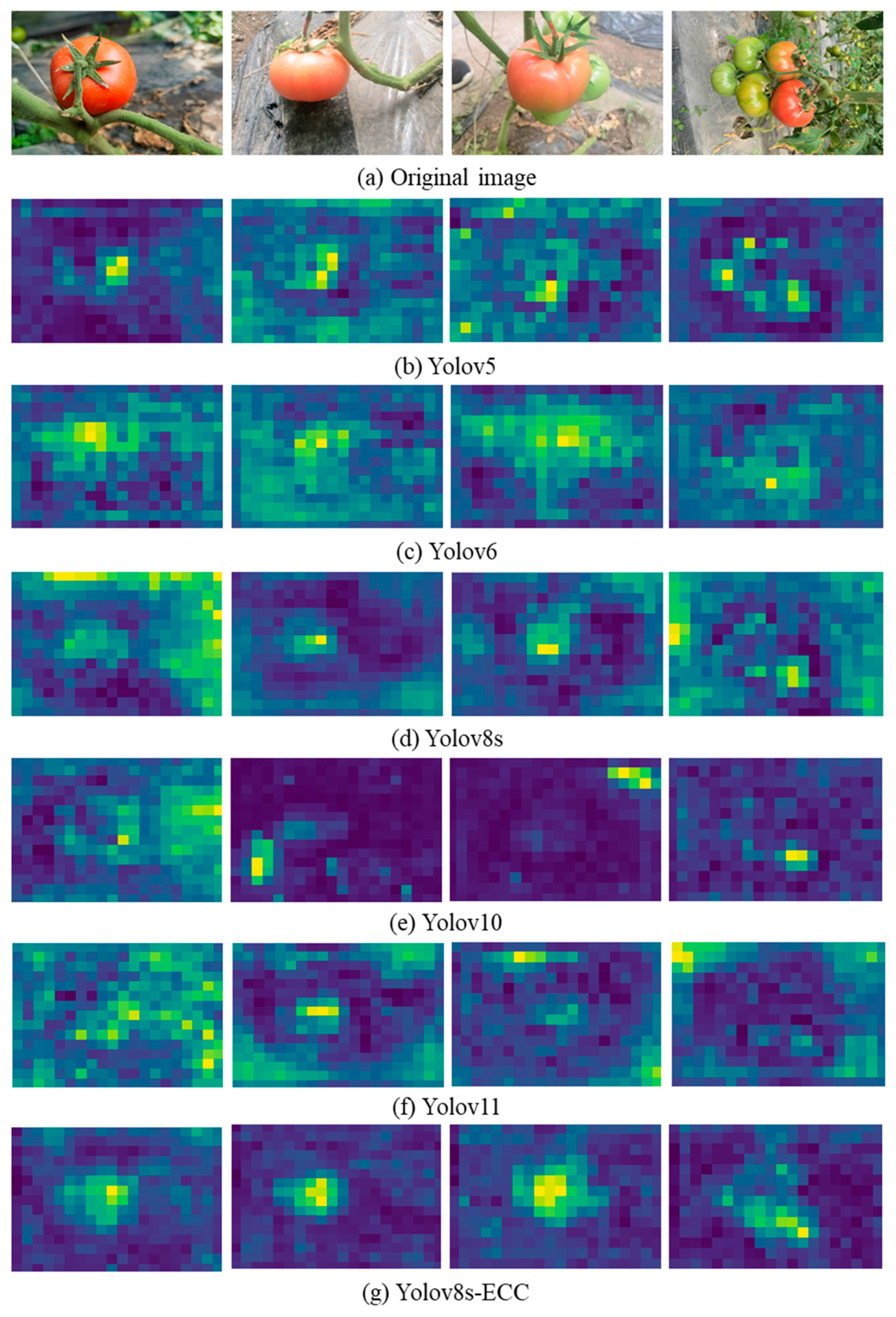 Horticulturae 12 00369 g011