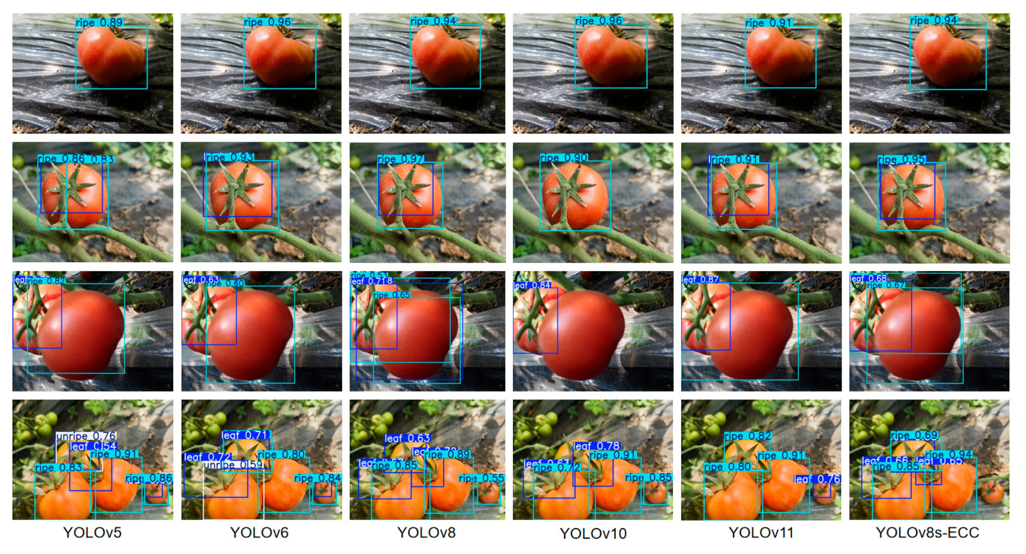 Horticulturae 12 00369 g012