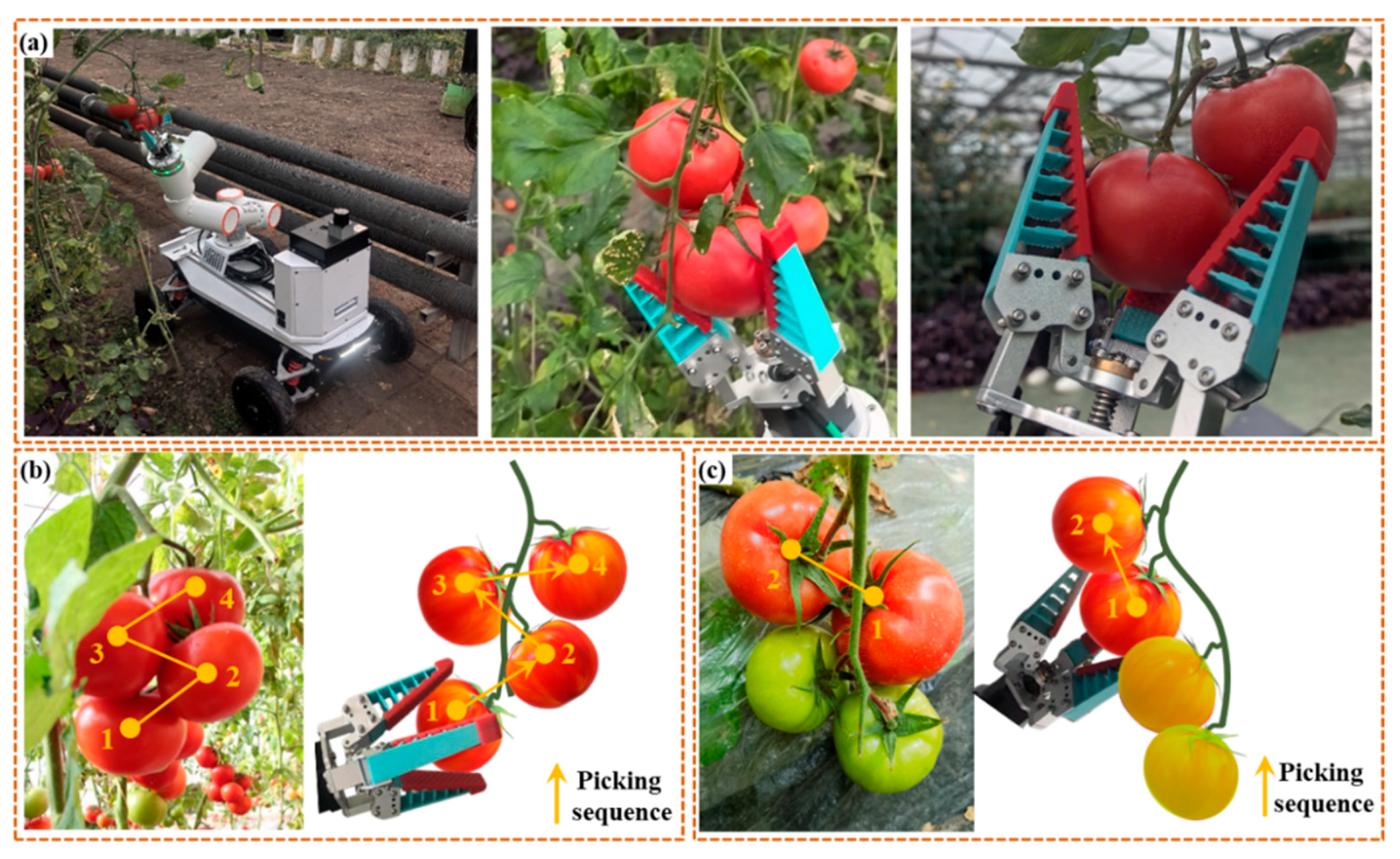 Horticulturae 12 00369 g013