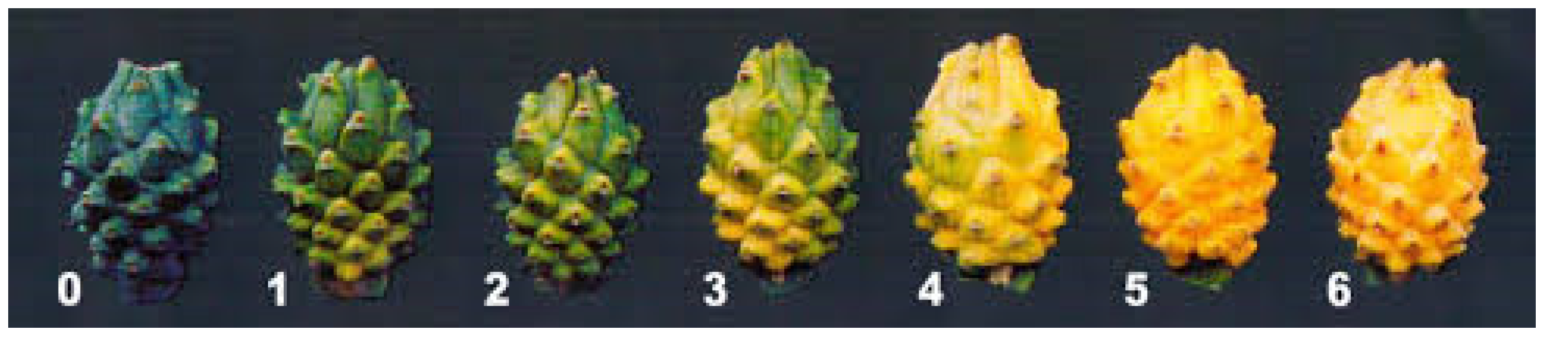 Horticulturae 12 00398 g001 Horticulturae 12 00398 g001