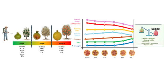 From Fruit Development to Harvest: Impact of Exogenous Sorbitol on Physico-Chemical Traits and Yield of Pomegranate Fruit