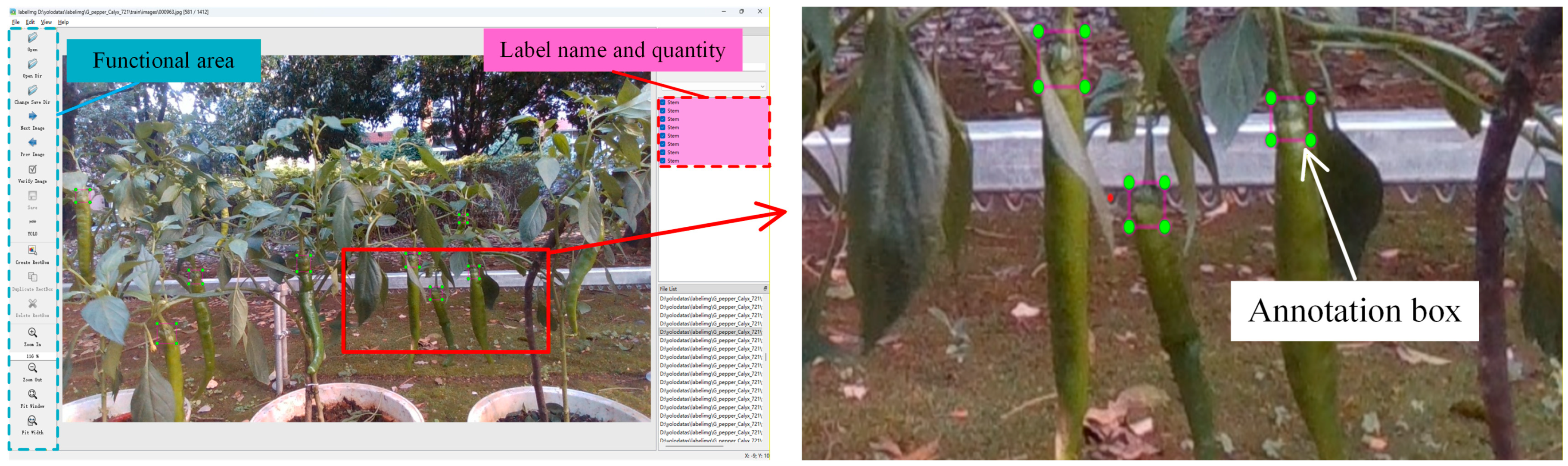 Horticulturae 12 00464 g007 Horticulturae 12 00464 g007