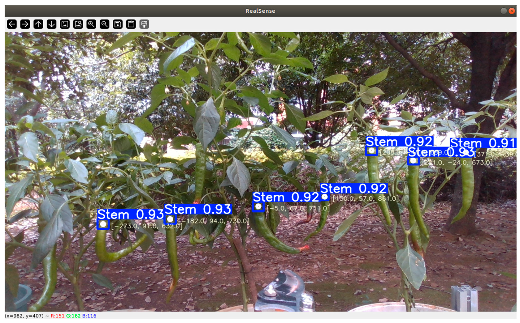 Horticulturae 12 00464 g010 Horticulturae 12 00464 g010