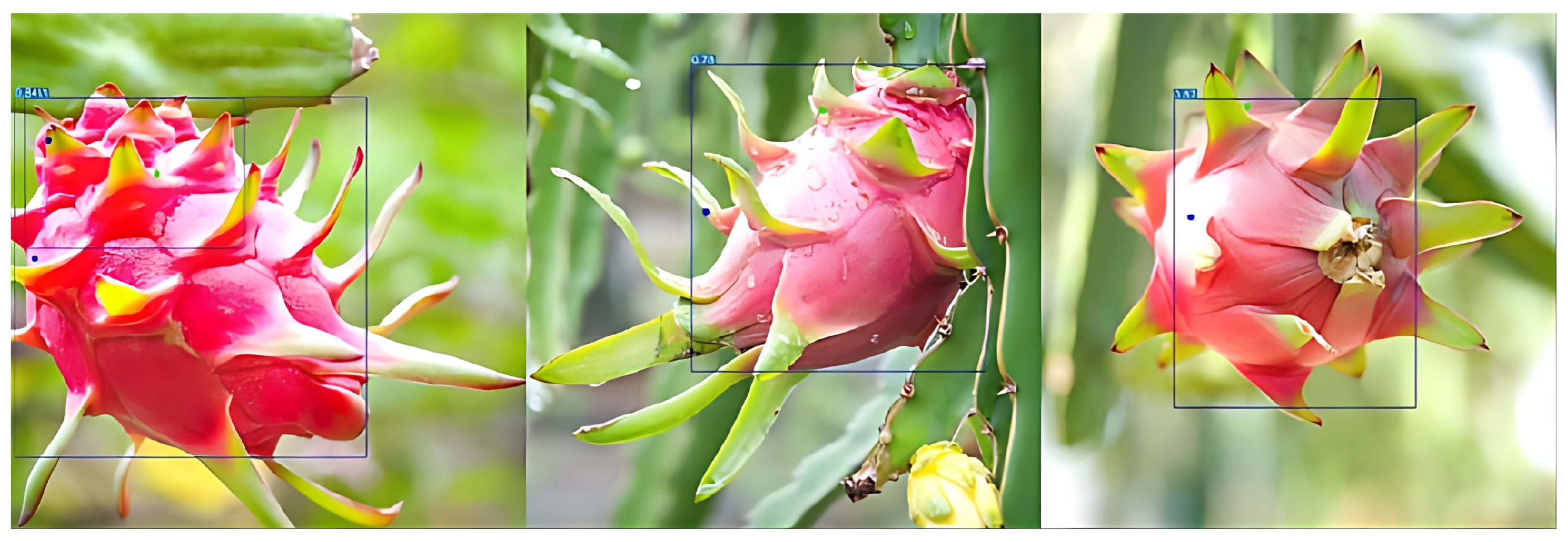 Horticulturae 12 00505 g009 Horticulturae 12 00505 g009