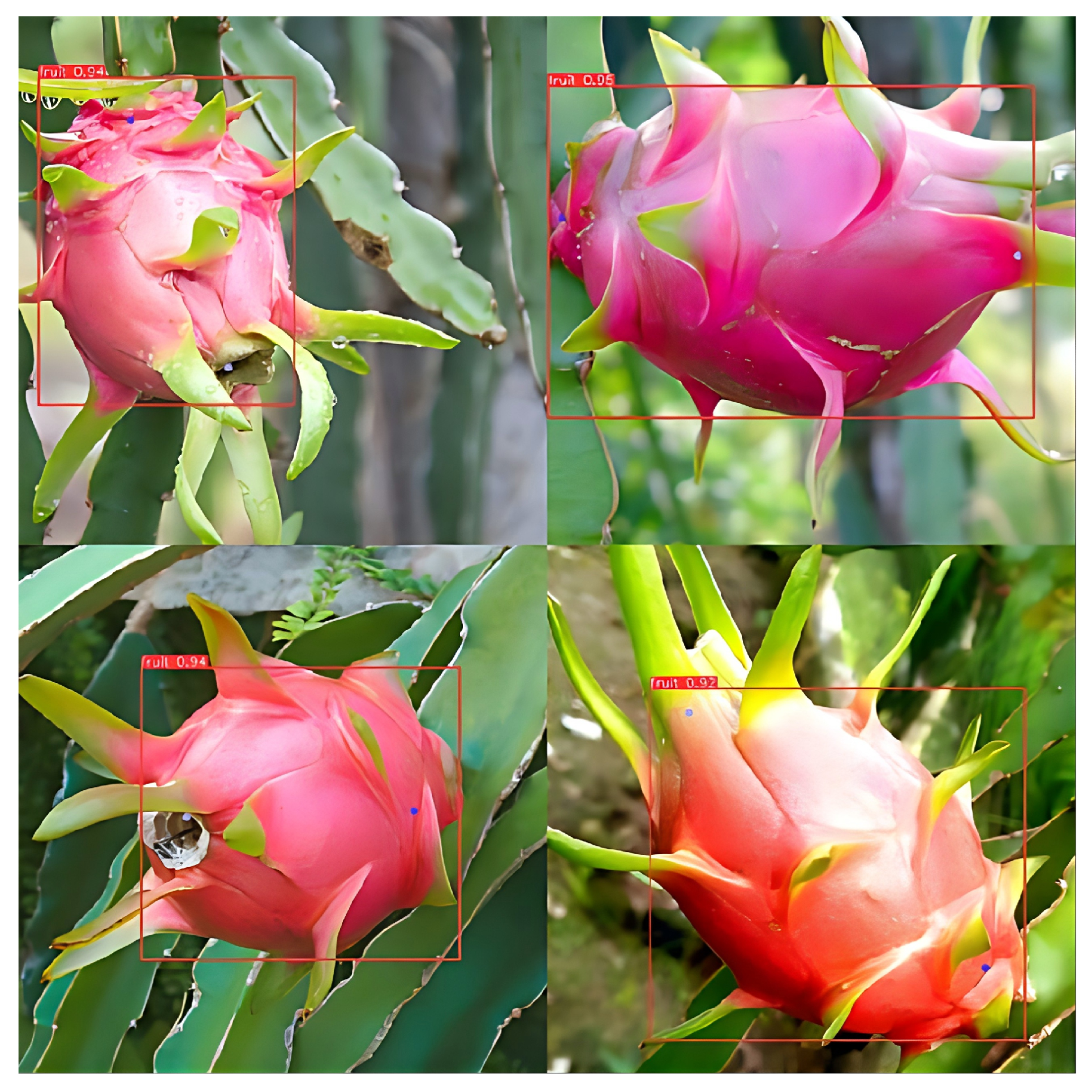 Horticulturae 12 00505 g011 Horticulturae 12 00505 g011