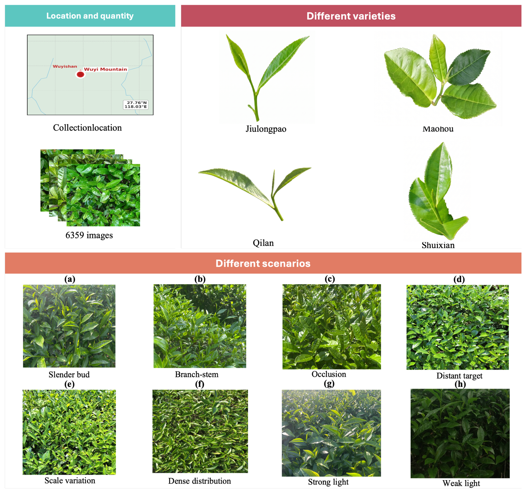 Horticulturae 12 01024 g001