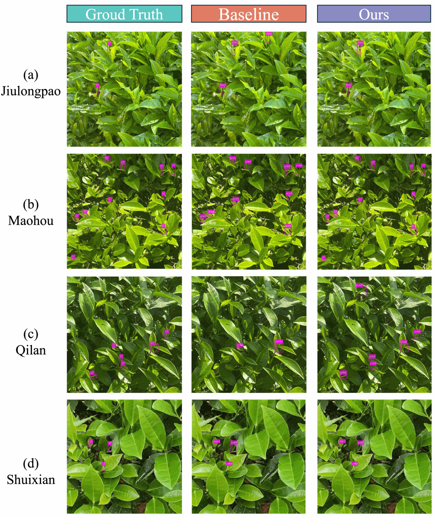 Horticulturae 12 01024 g006