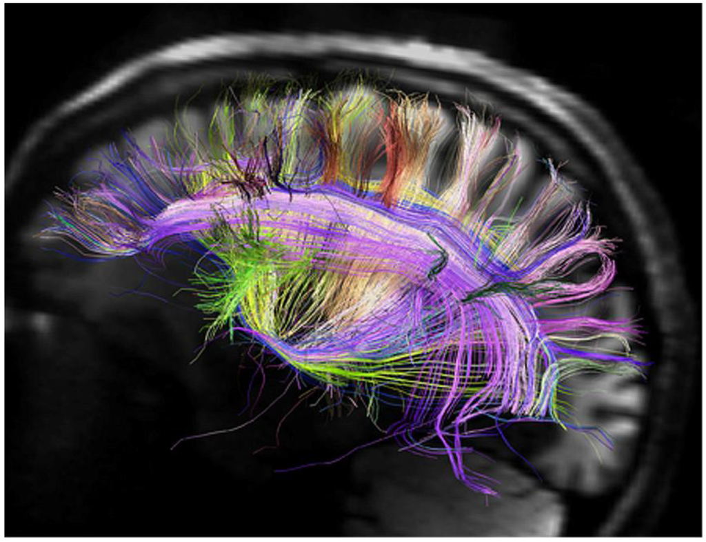 Humanities 02 00020 g001 1024