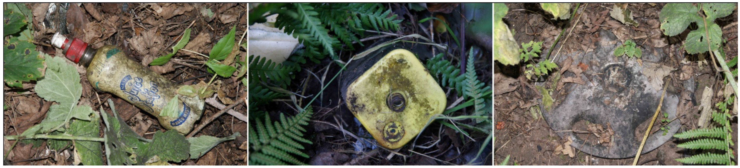 Humanities 04 00569 g002