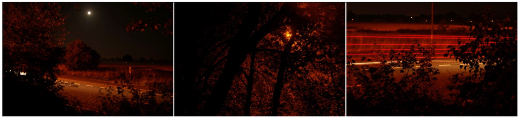 Humanities 04 00569 g003 1024