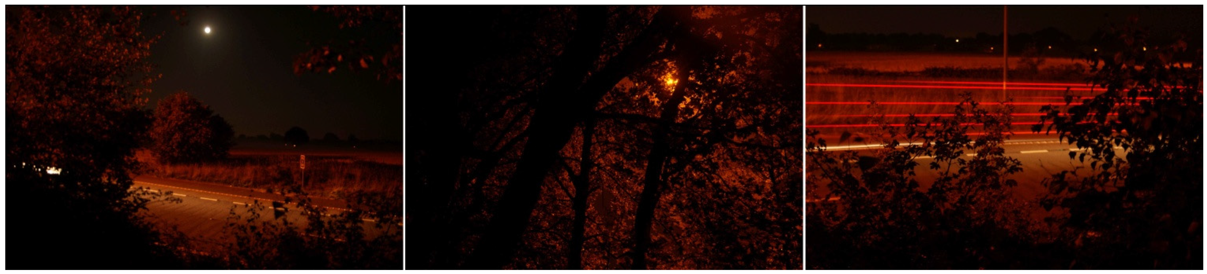 Humanities 04 00569 g003