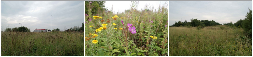 Humanities 04 00569 g015 1024