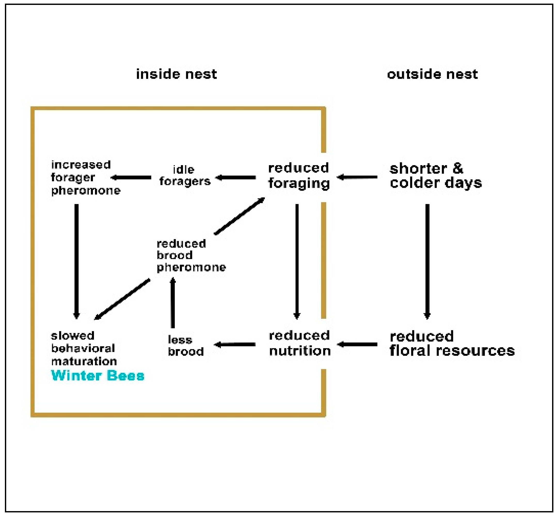 Humanities 06 00039 g001