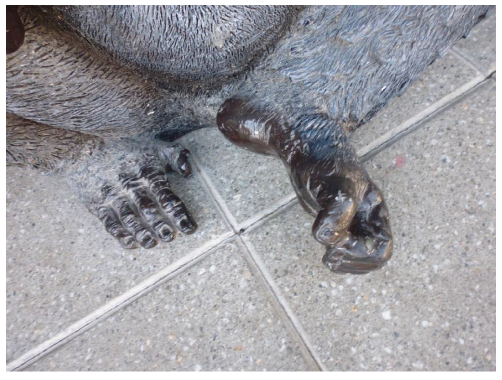 Humanities 06 00051 g003