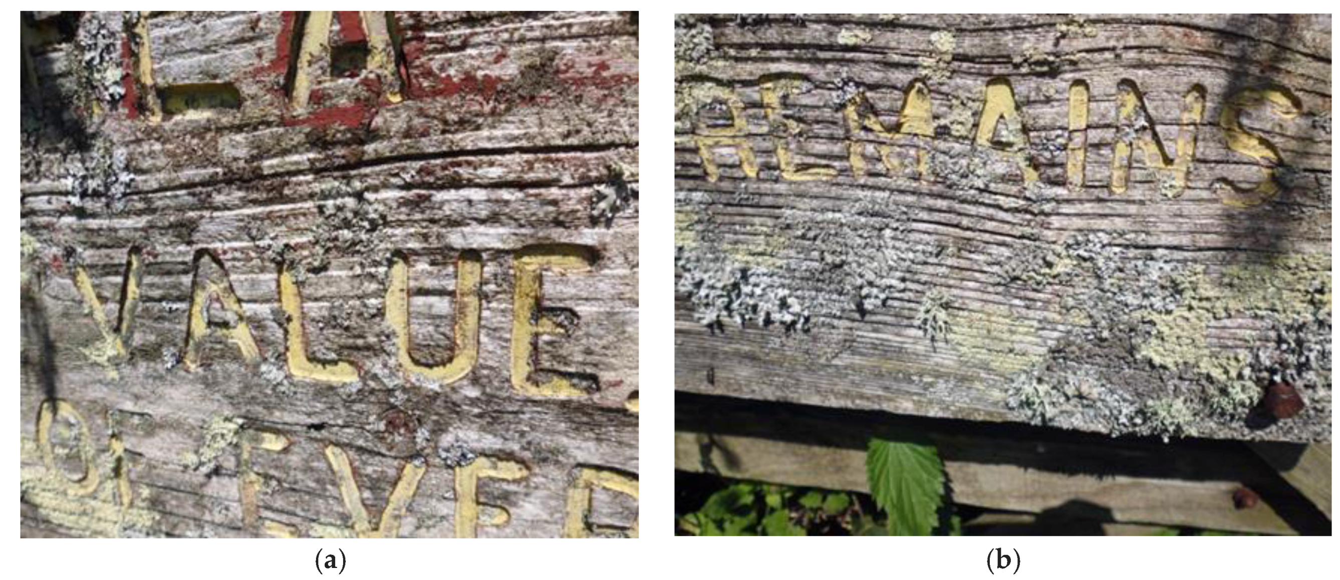 Humanities 06 00051 g007