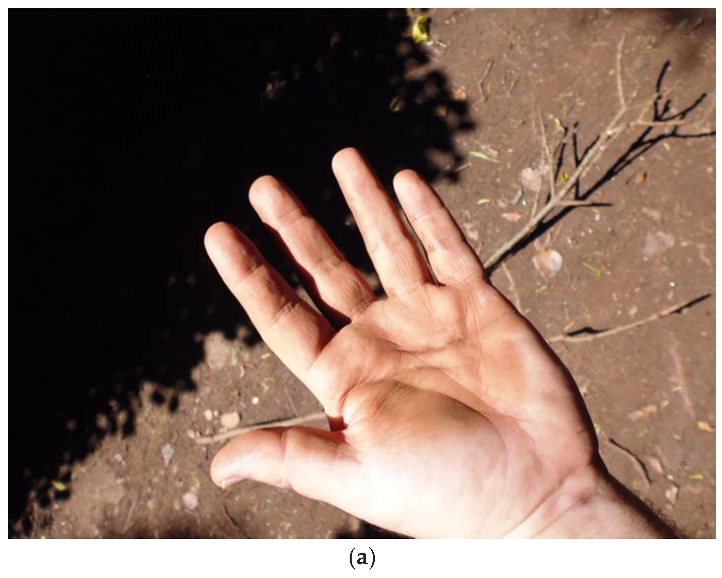 Humanities 06 00051 g008a