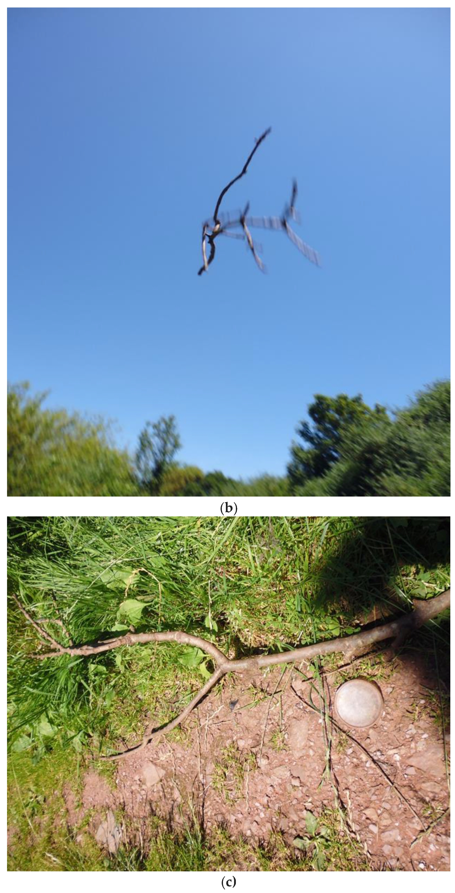 Humanities 06 00051 g008b