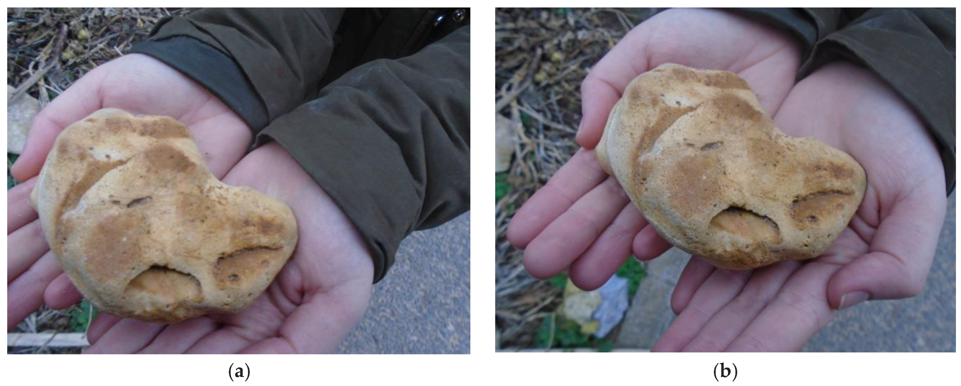 Humanities 06 00051 g017