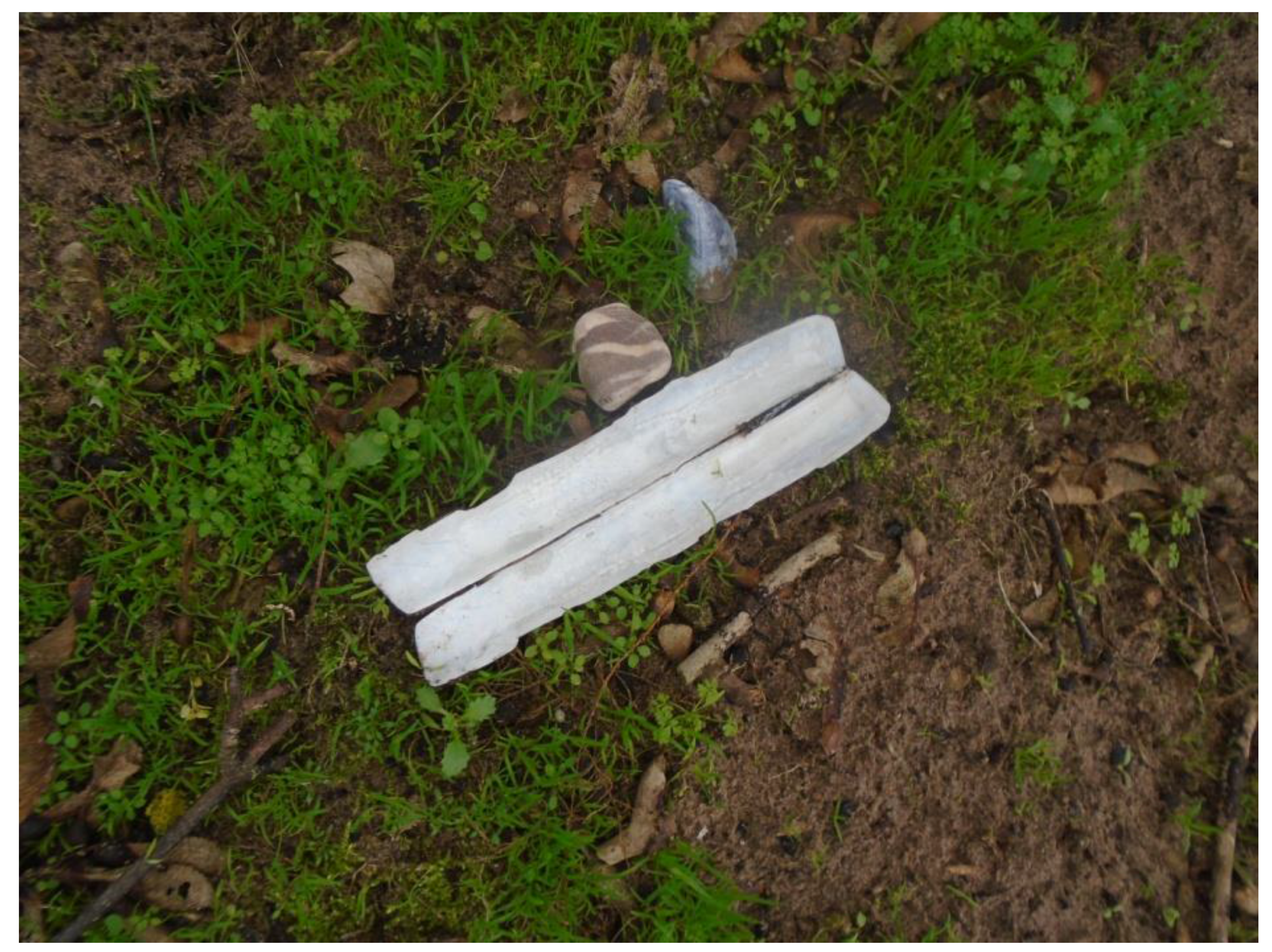 Humanities 06 00051 g018