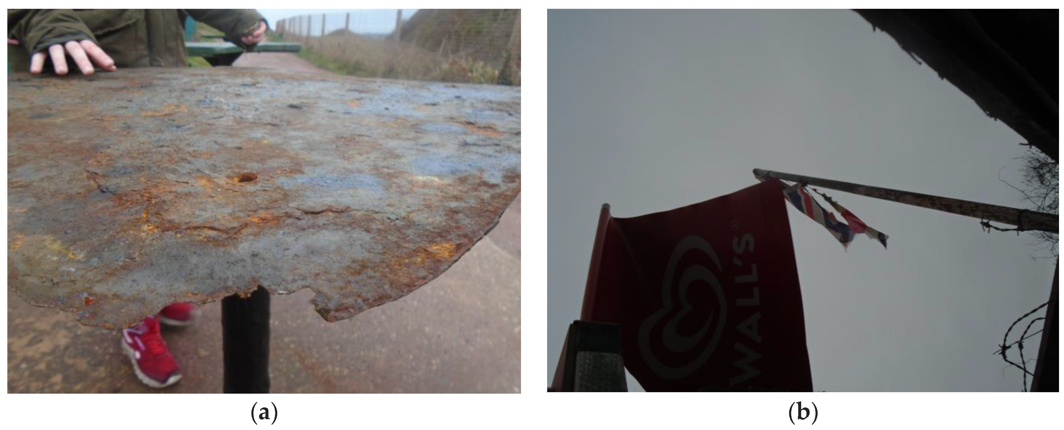 Humanities 06 00051 g020