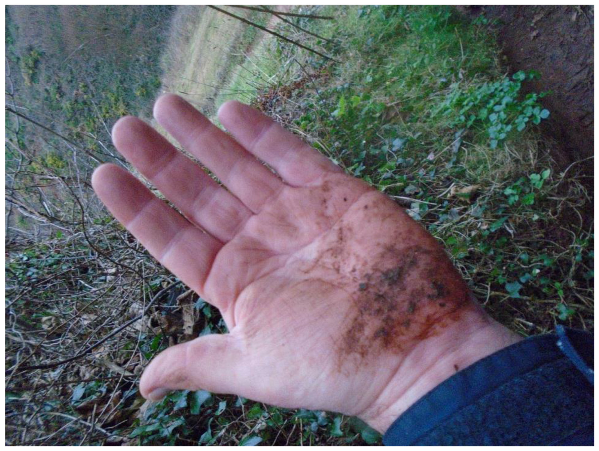 Humanities 06 00051 g023