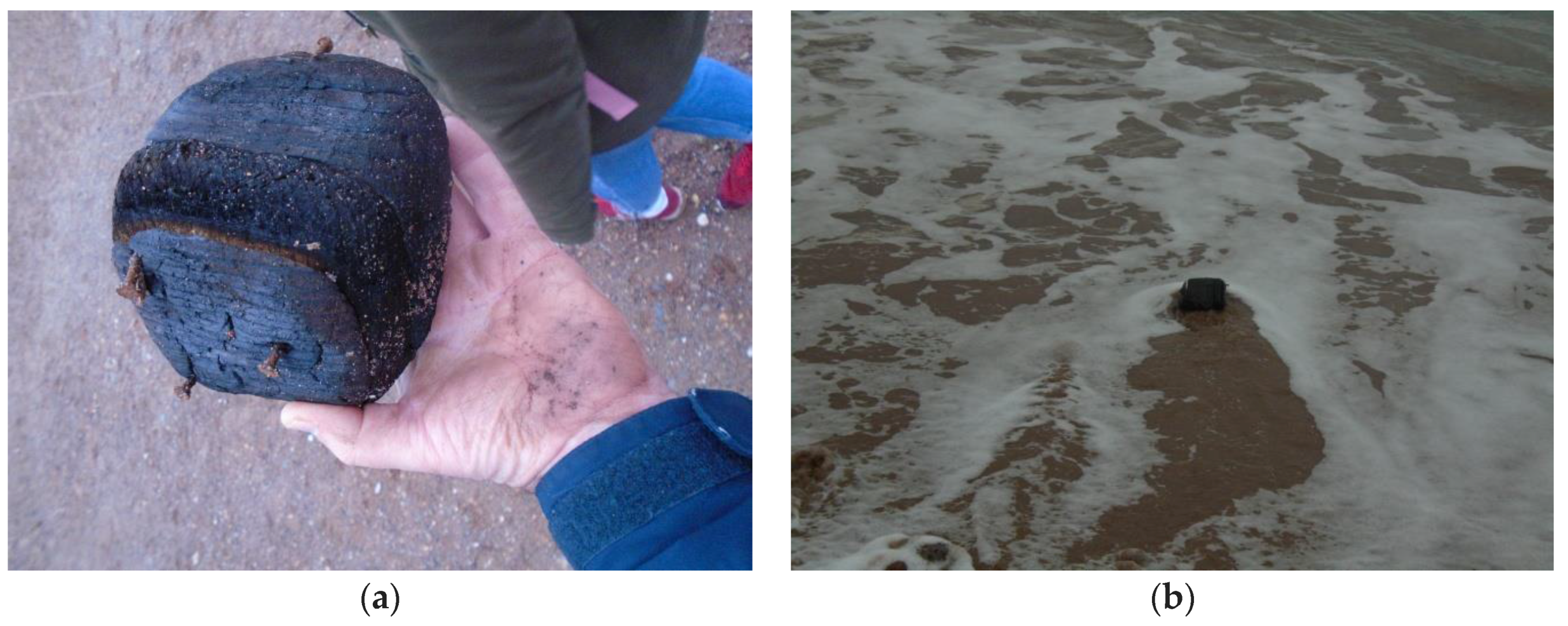 Humanities 06 00051 g024