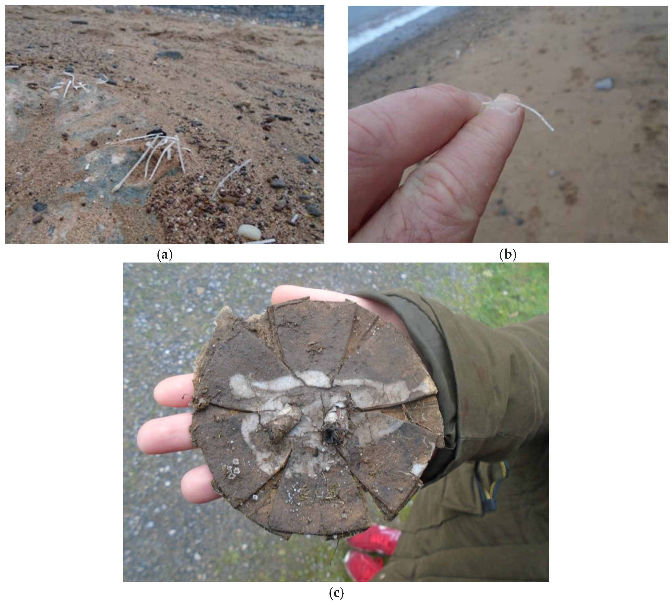 Humanities 06 00051 g026