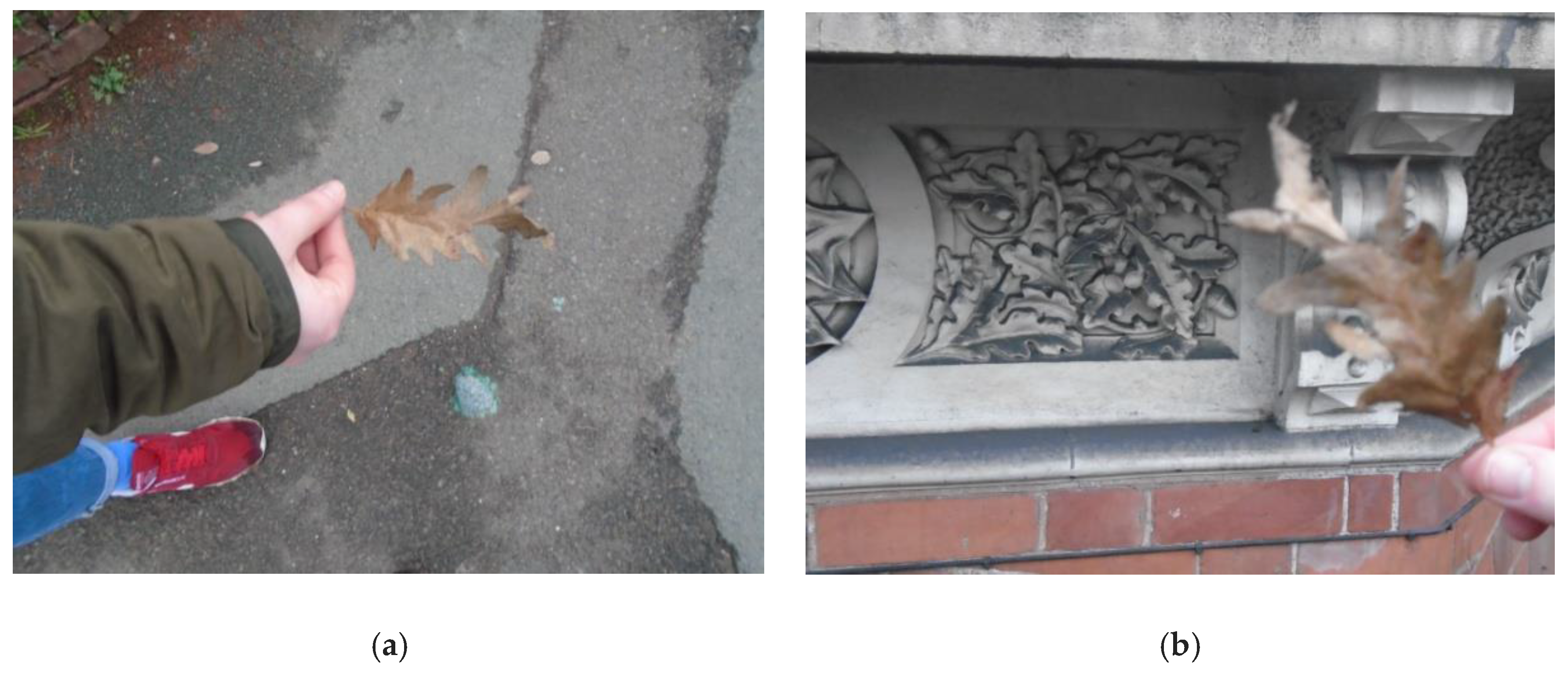 Humanities 06 00051 g027