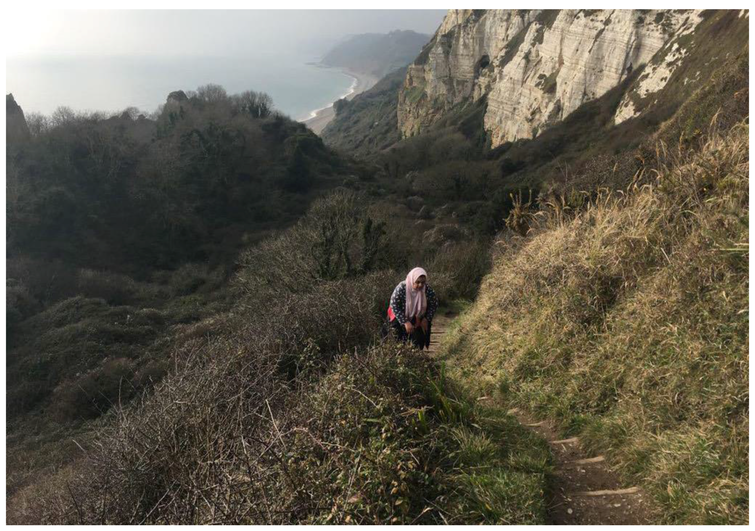 Humanities 06 00054 g002