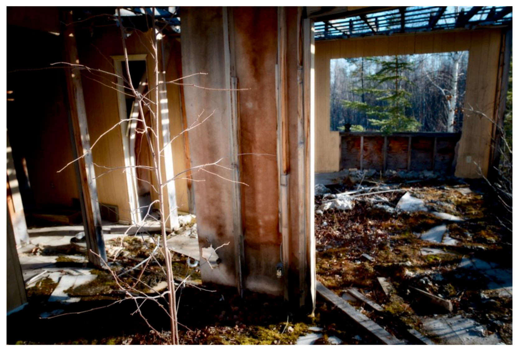 Humanities 07 00005 g005