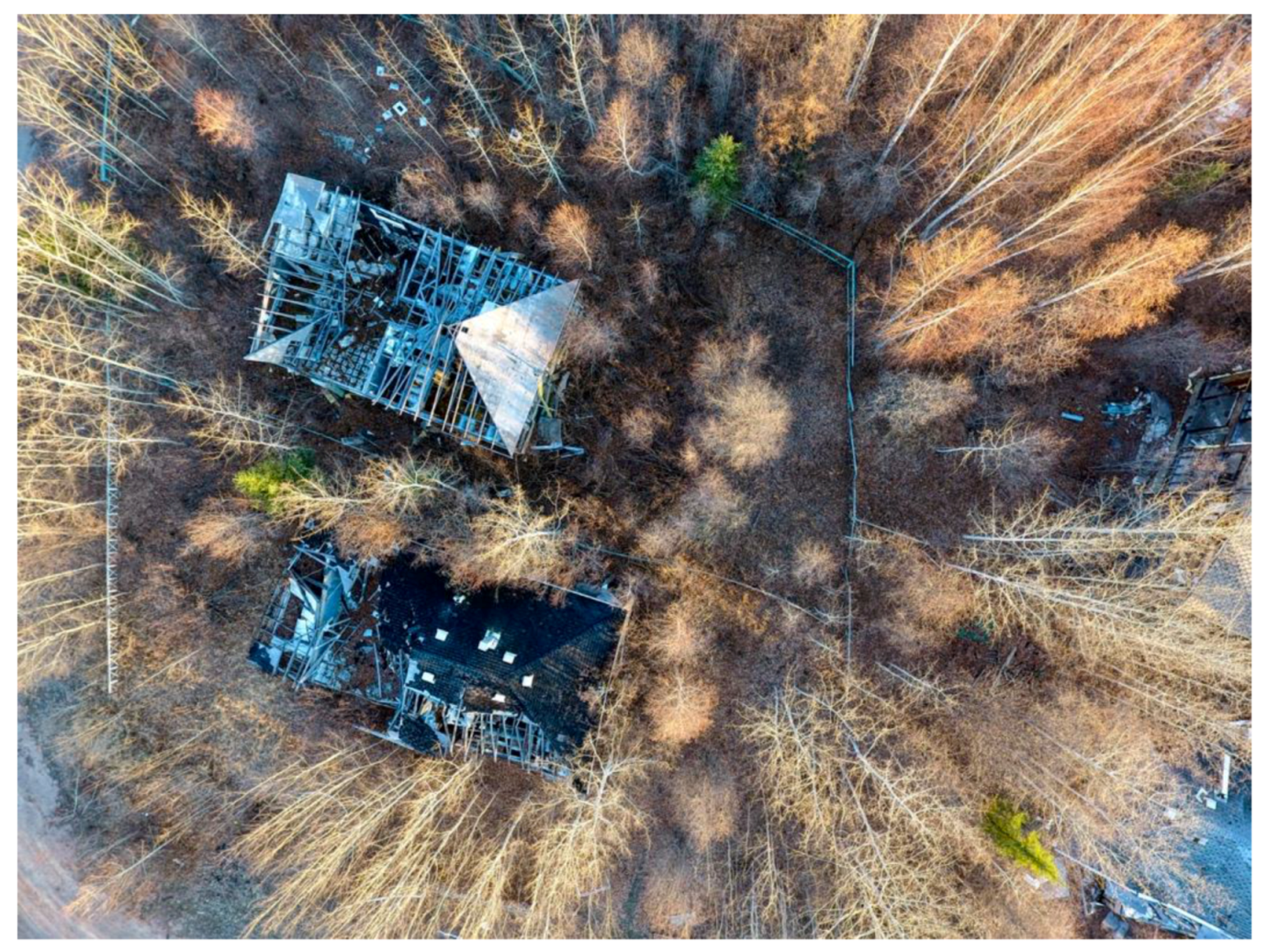 Humanities 07 00005 g009