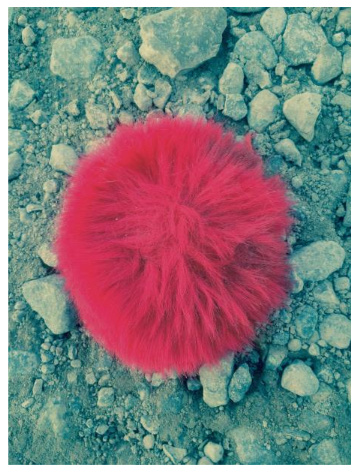 Humanities 07 00033 g001