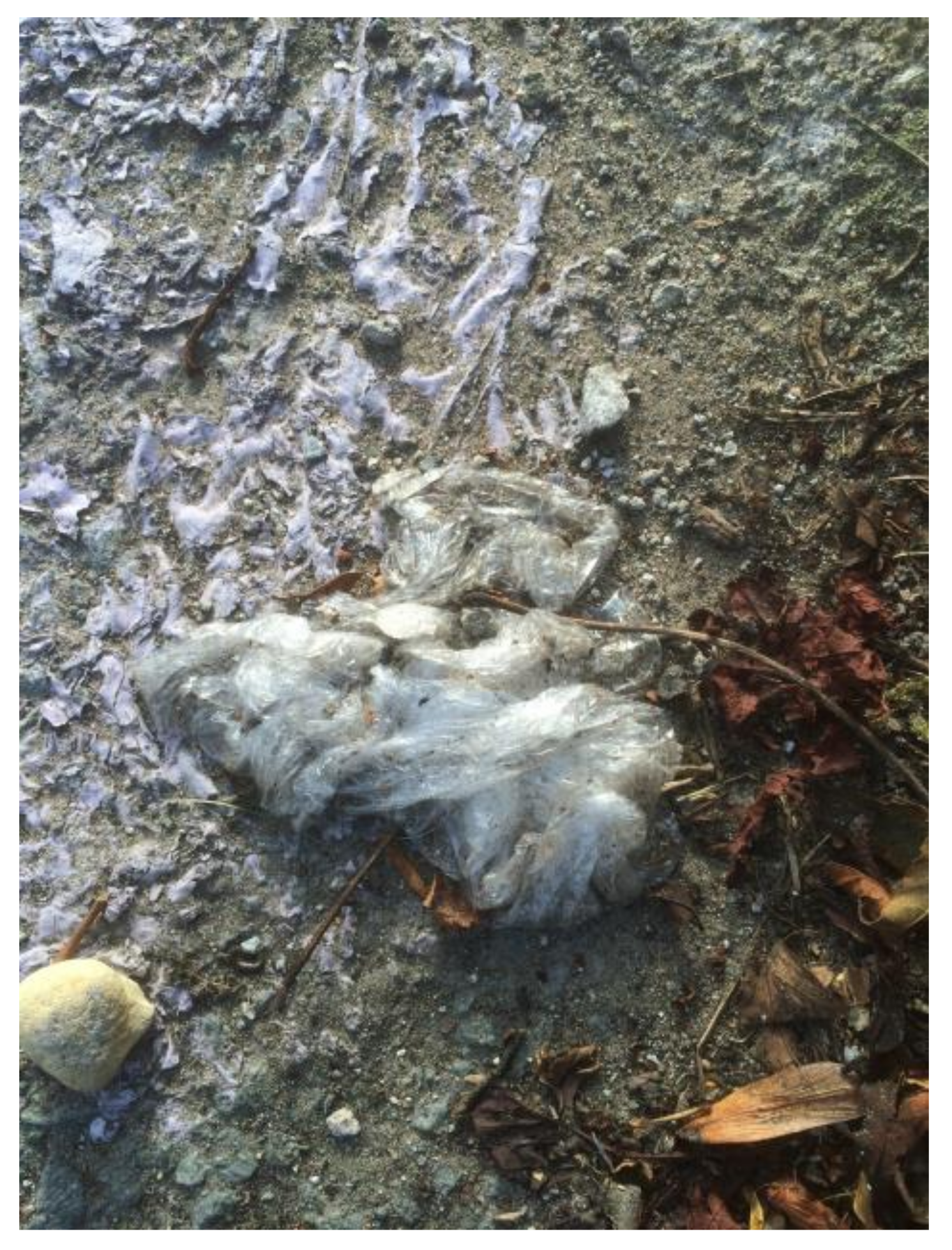 Humanities 07 00033 g005