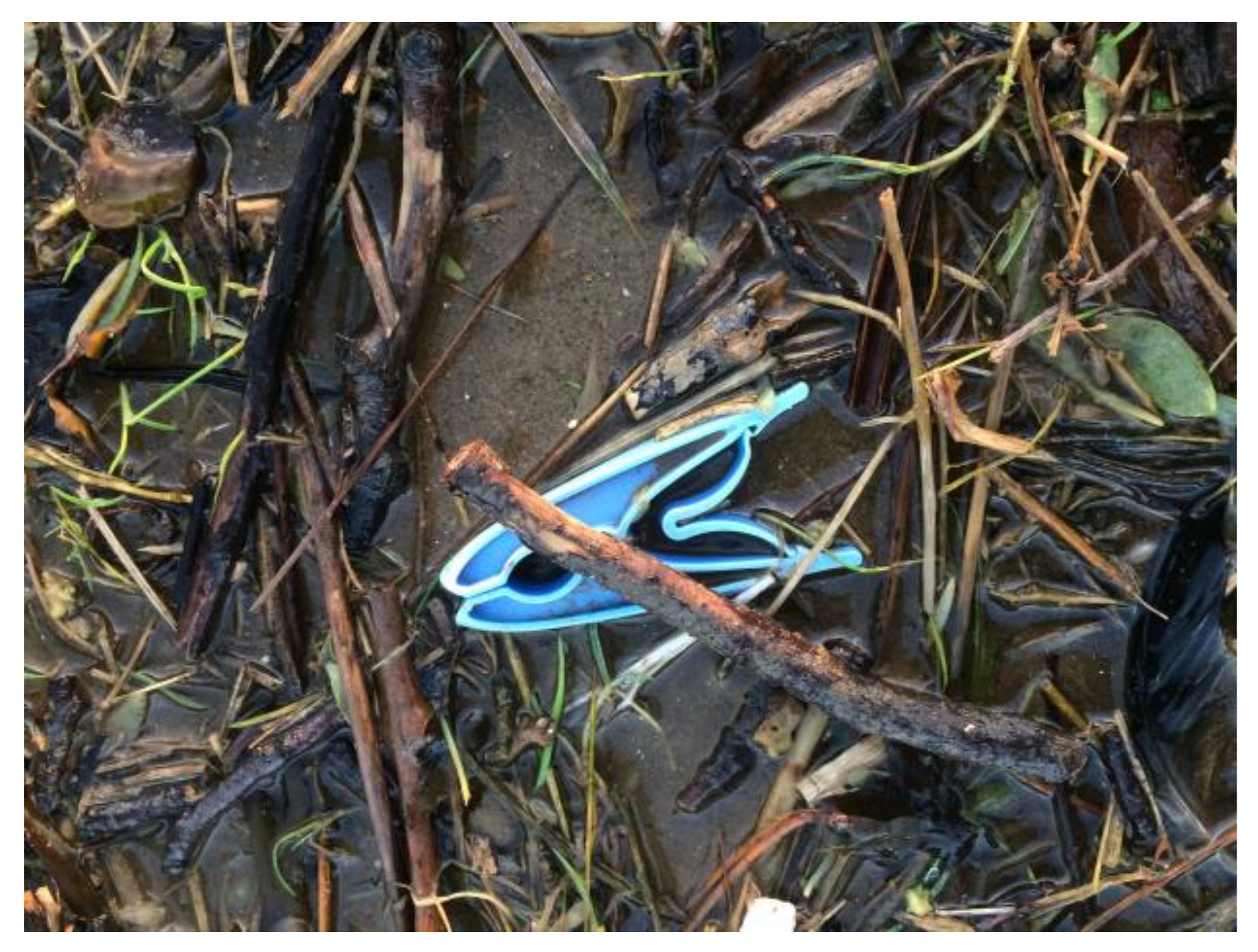 Humanities 07 00033 g007