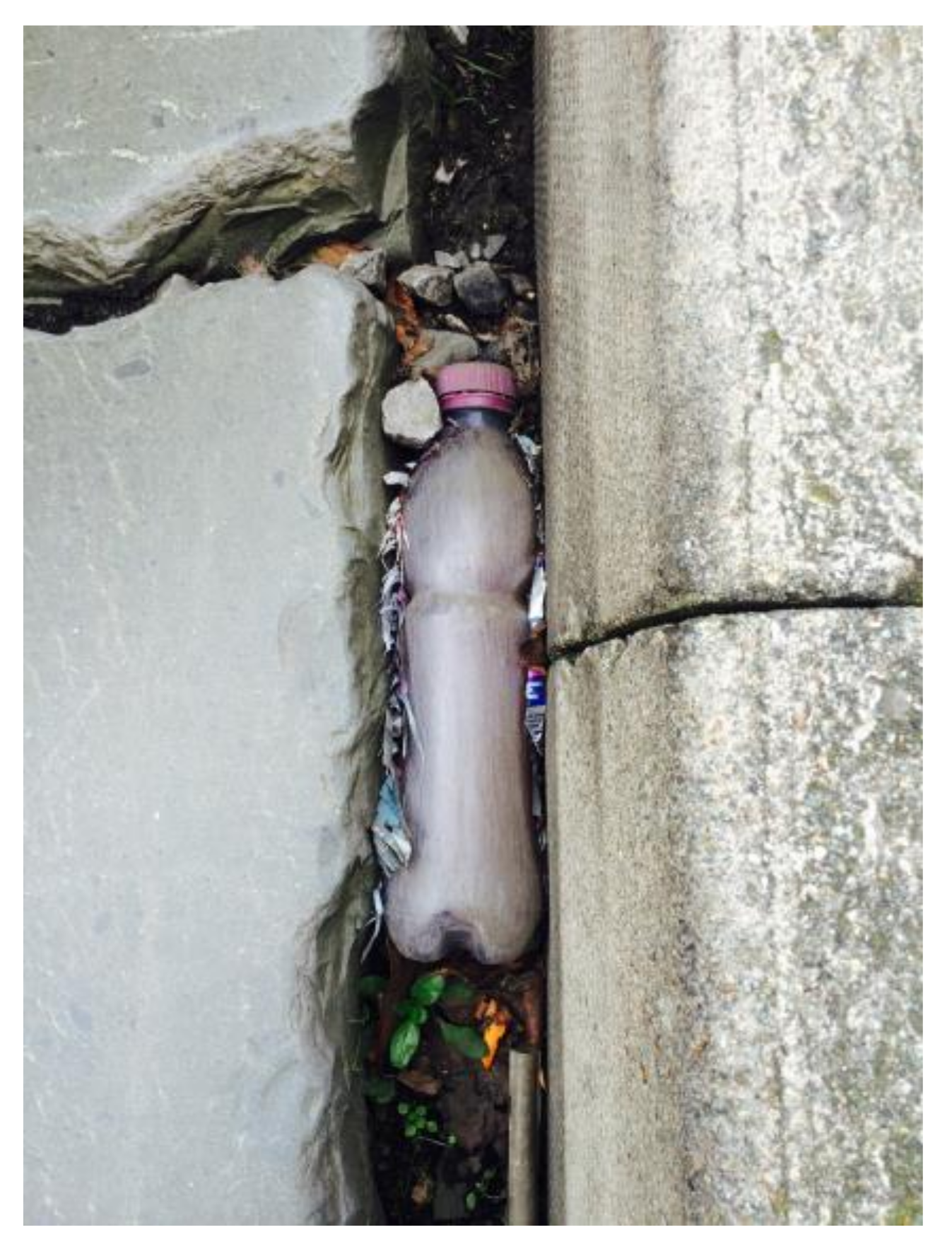 Humanities 07 00033 g008