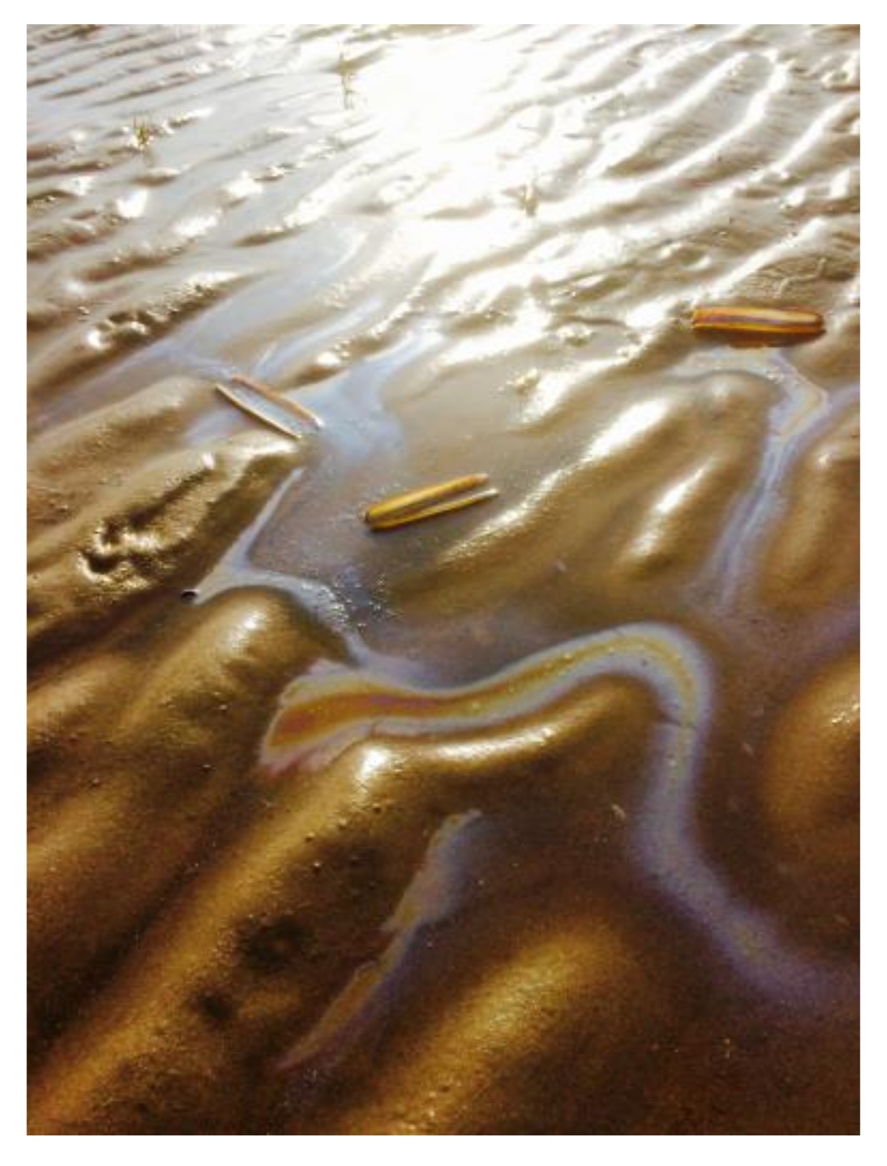 Humanities 07 00033 g010