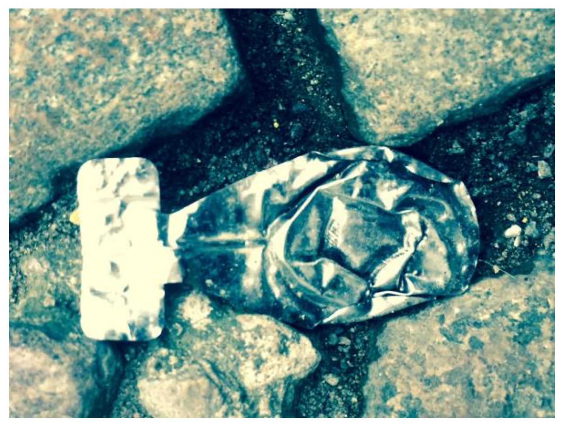 Humanities 07 00033 g015