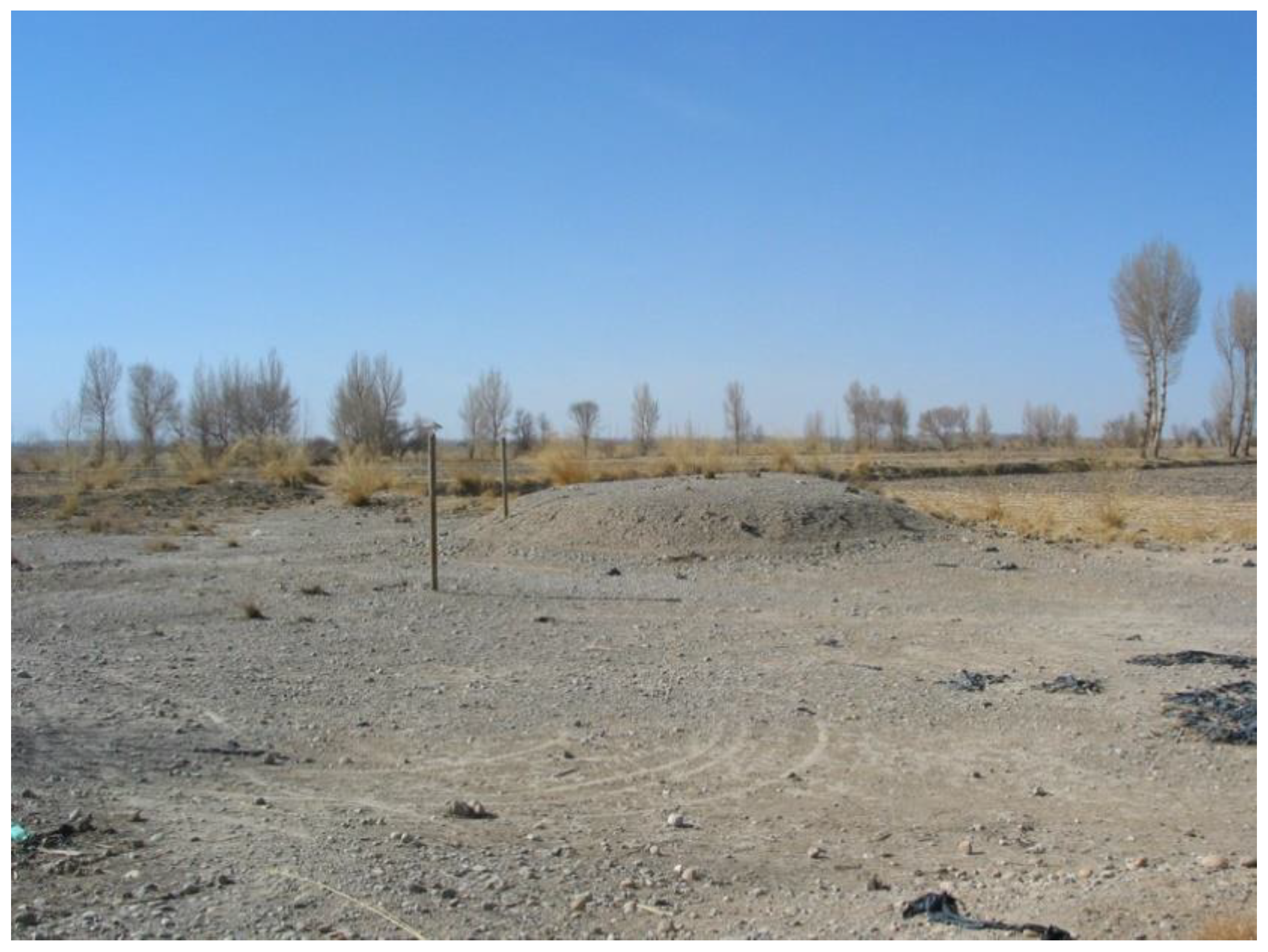 Humanities 07 00063 g003