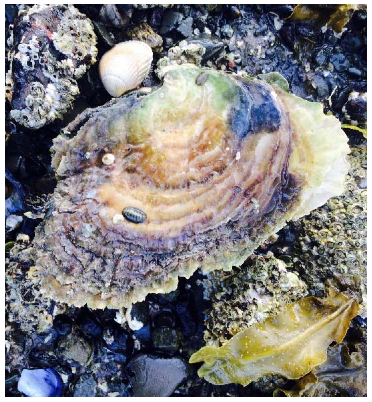 Humanities 08 00009 g001