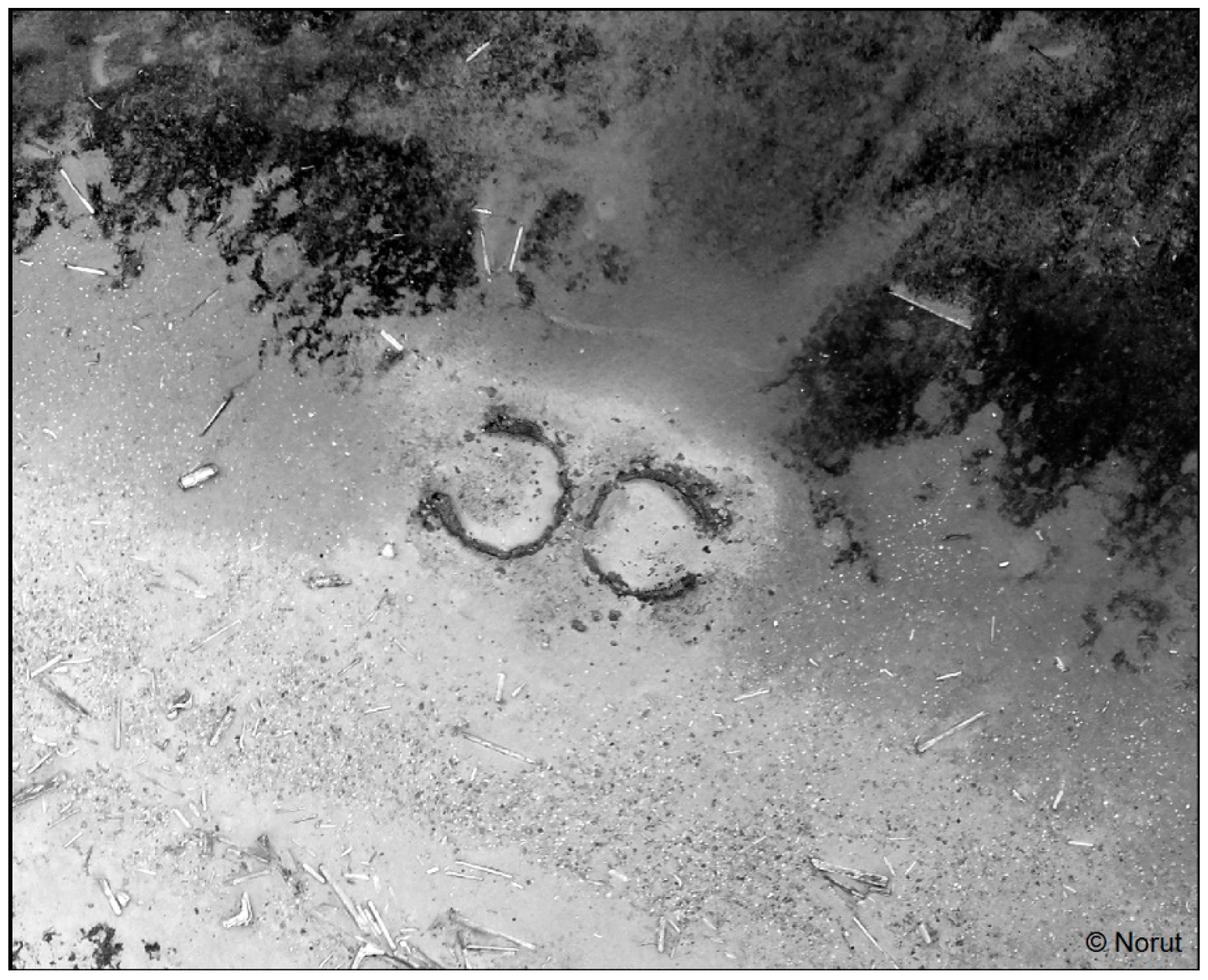 Humanities 08 00021 g003