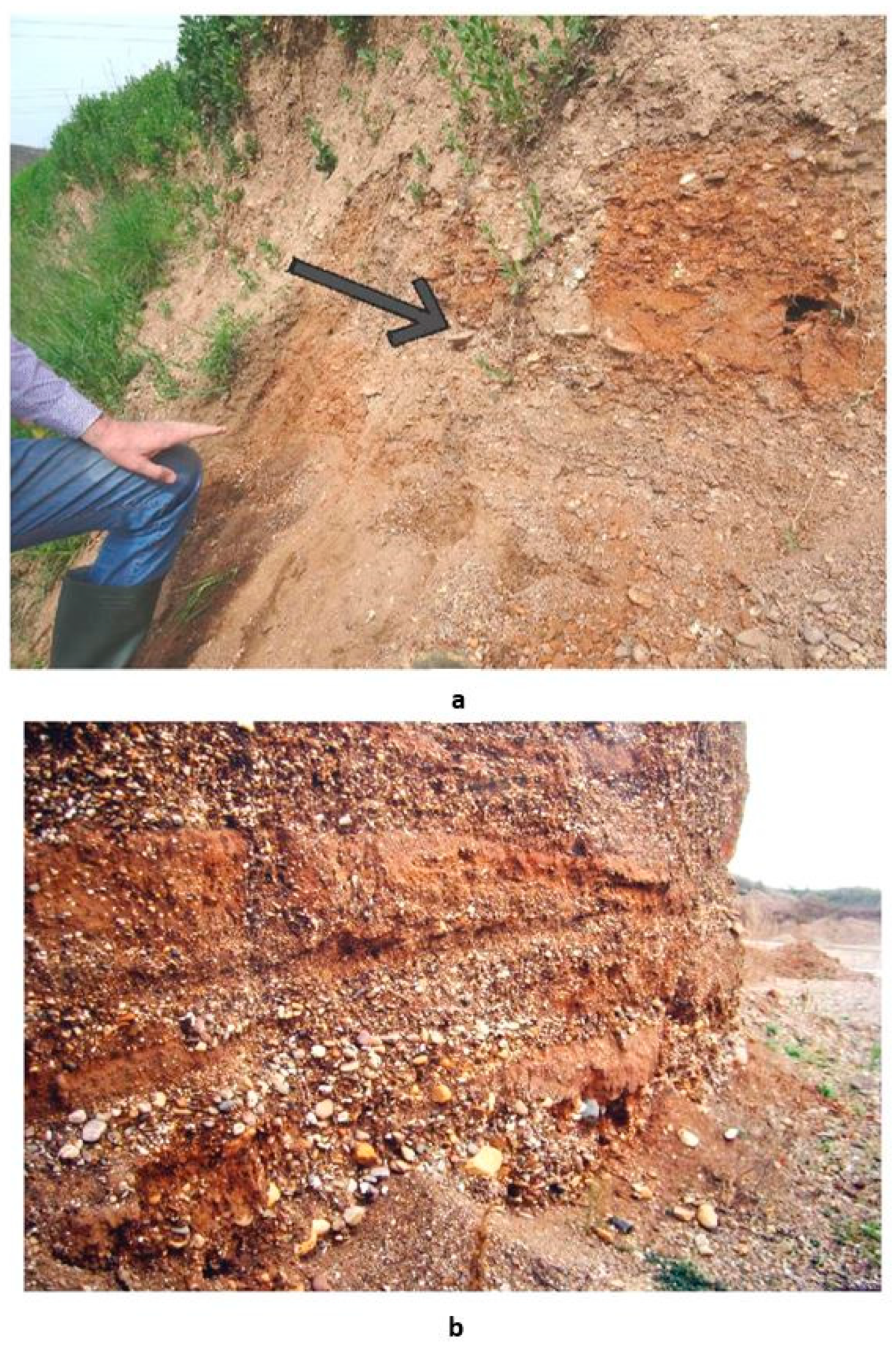 Humanities 08 00129 g003