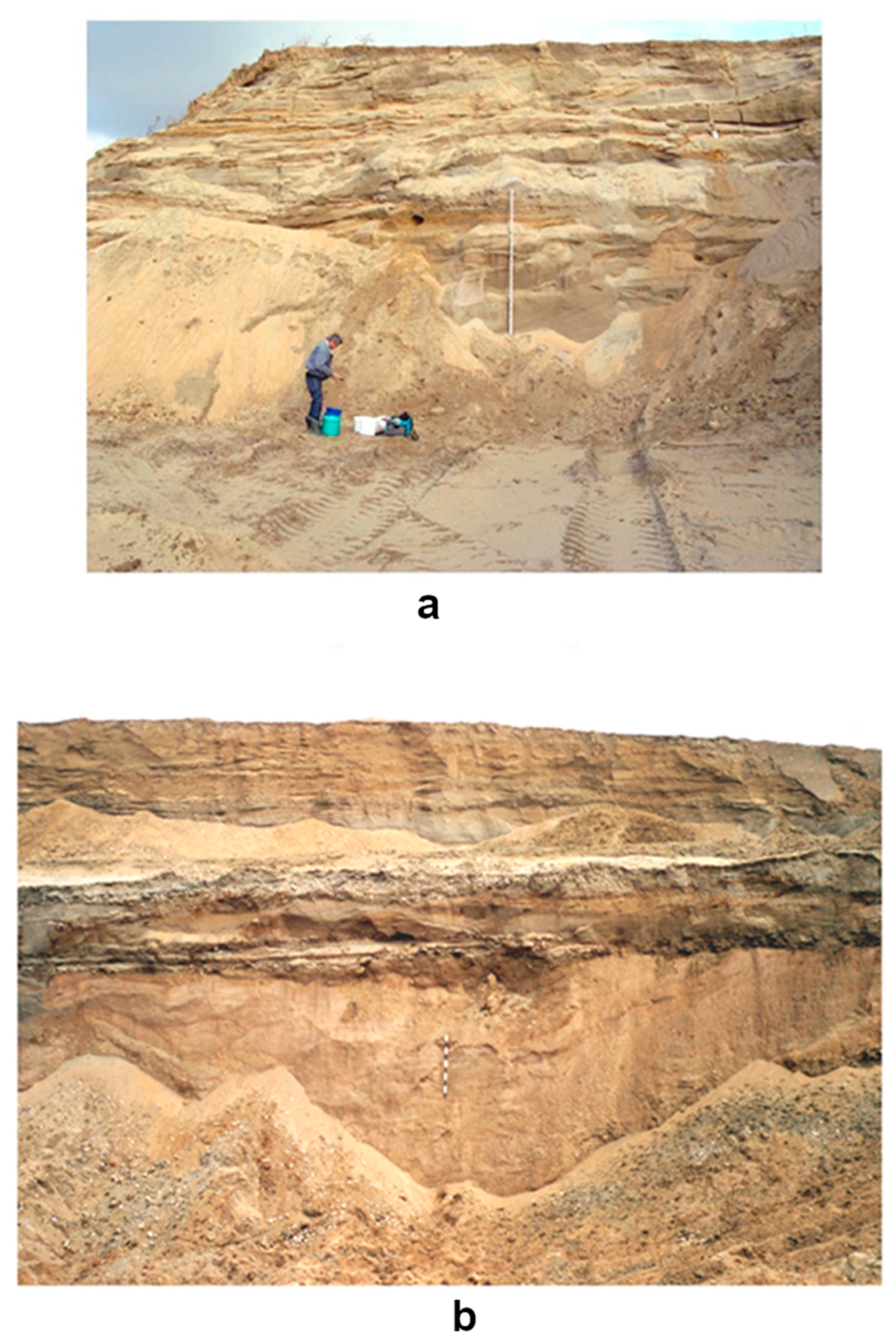 Humanities 08 00129 g020