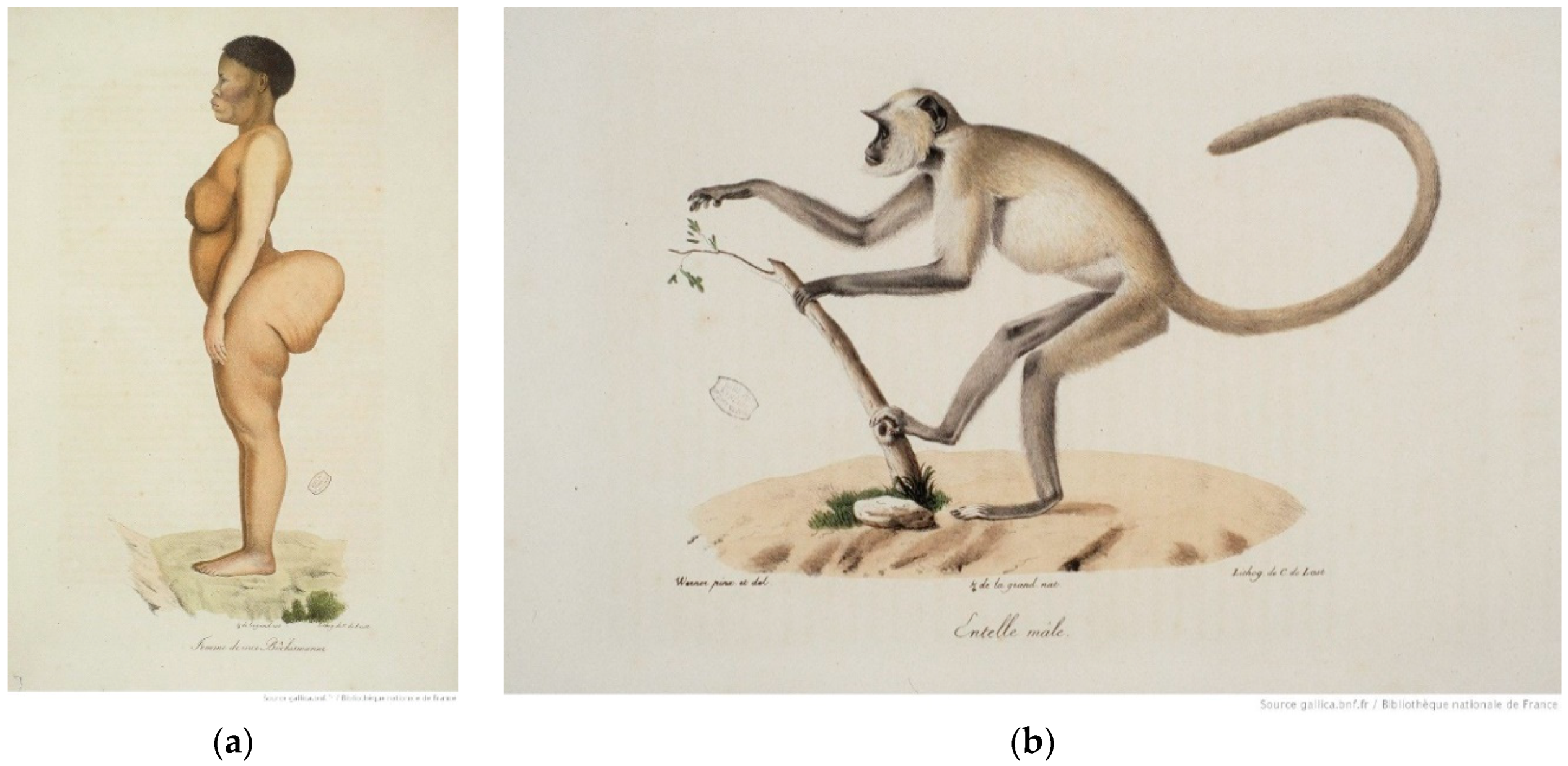 Humanities 08 00135 g005