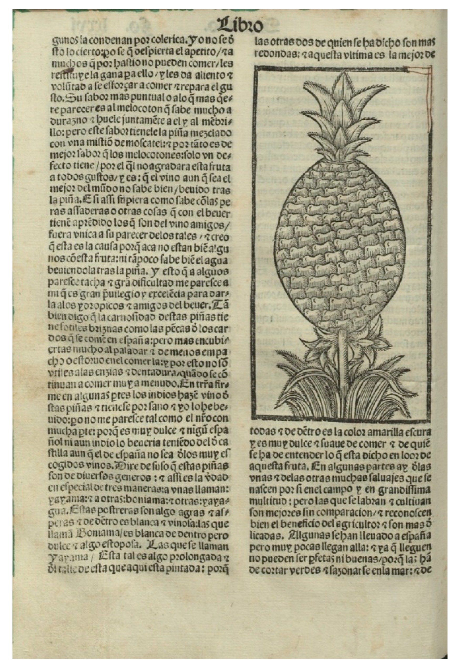 Humanities 09 00089 g001 Humanities 09 00089 g001