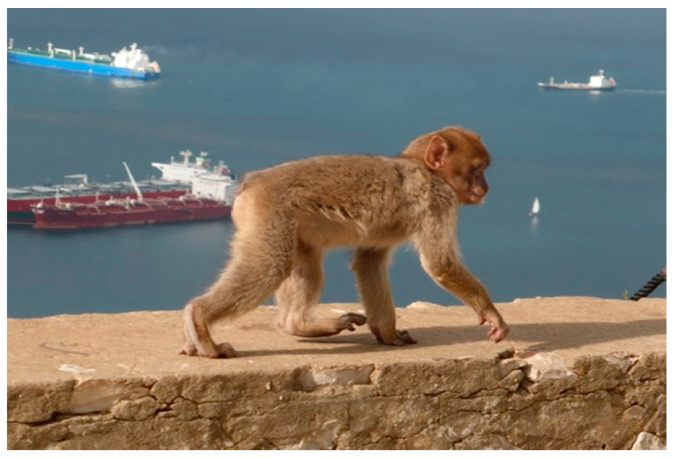 Humanities 09 00092 g003