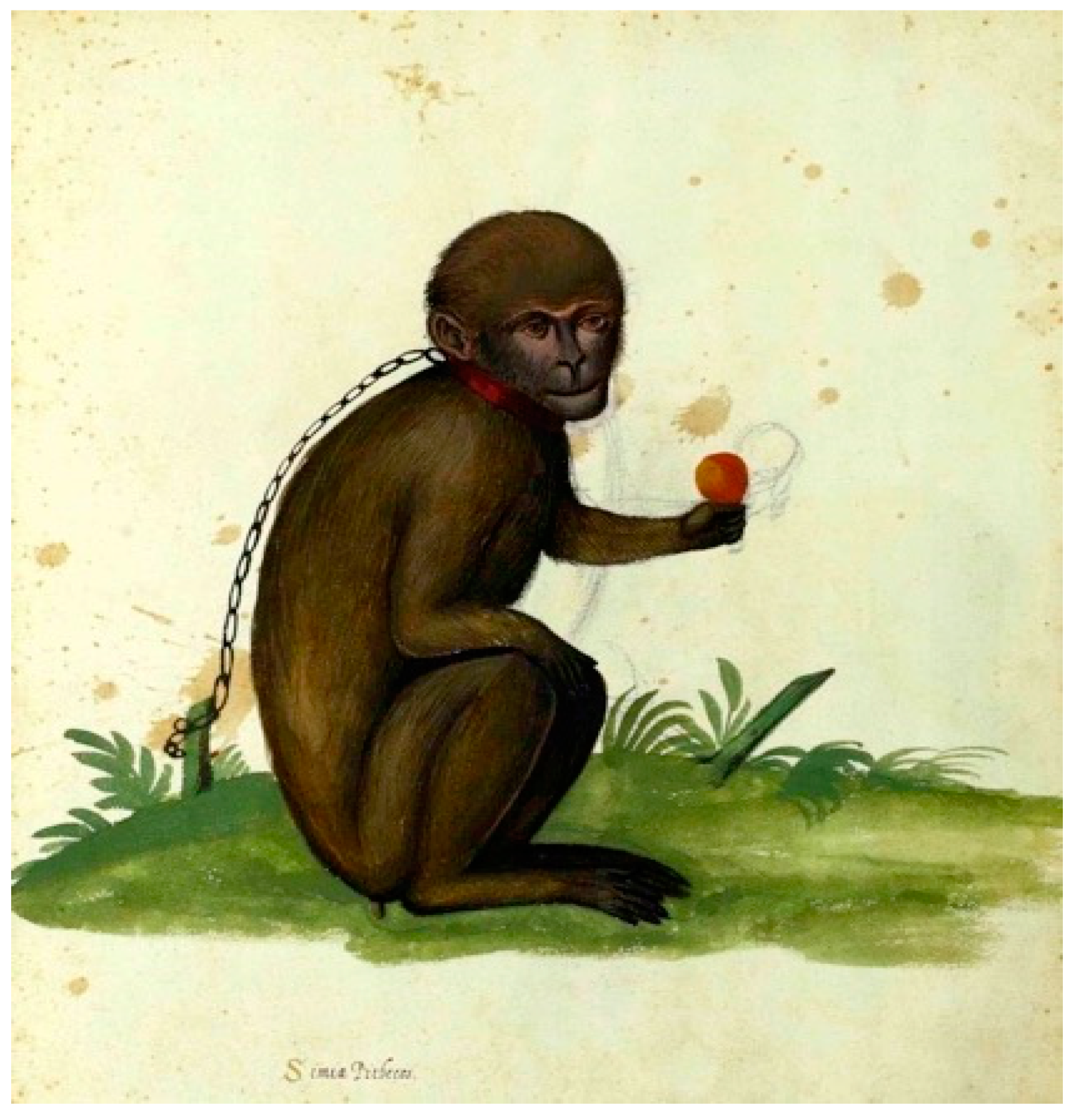 Humanities 09 00092 g004