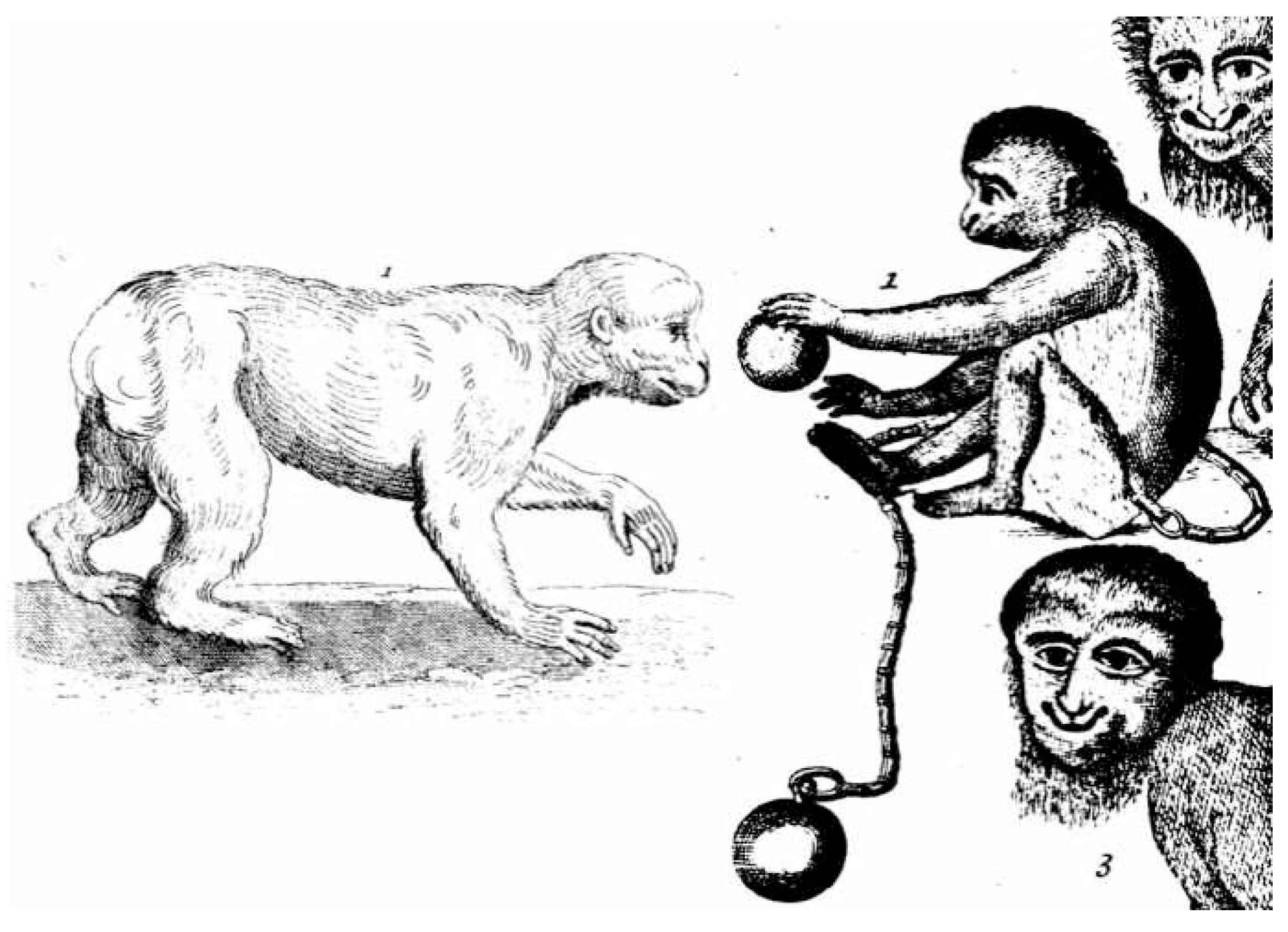 Humanities 09 00092 g005